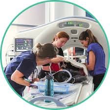 Advanced Vaginal Tactile Imaging Market