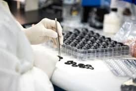 Bandpass Filter Coatings Market