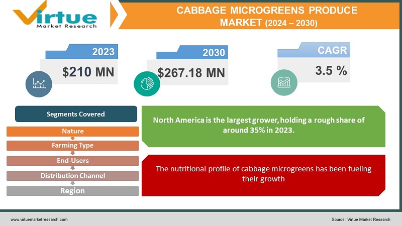 Cabbage Microgreens Produce Market