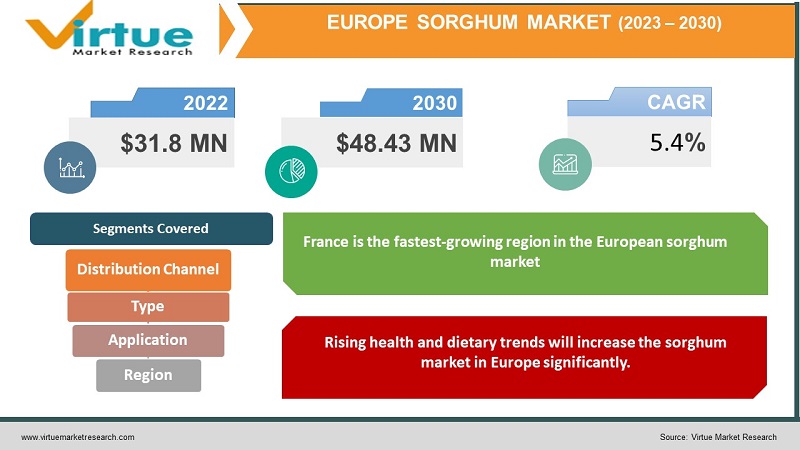 European sorghum Market