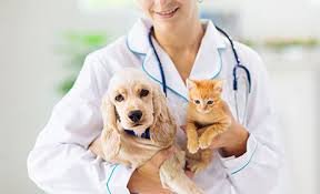 Immunotherapy-based Pet Care Therapeutics Market