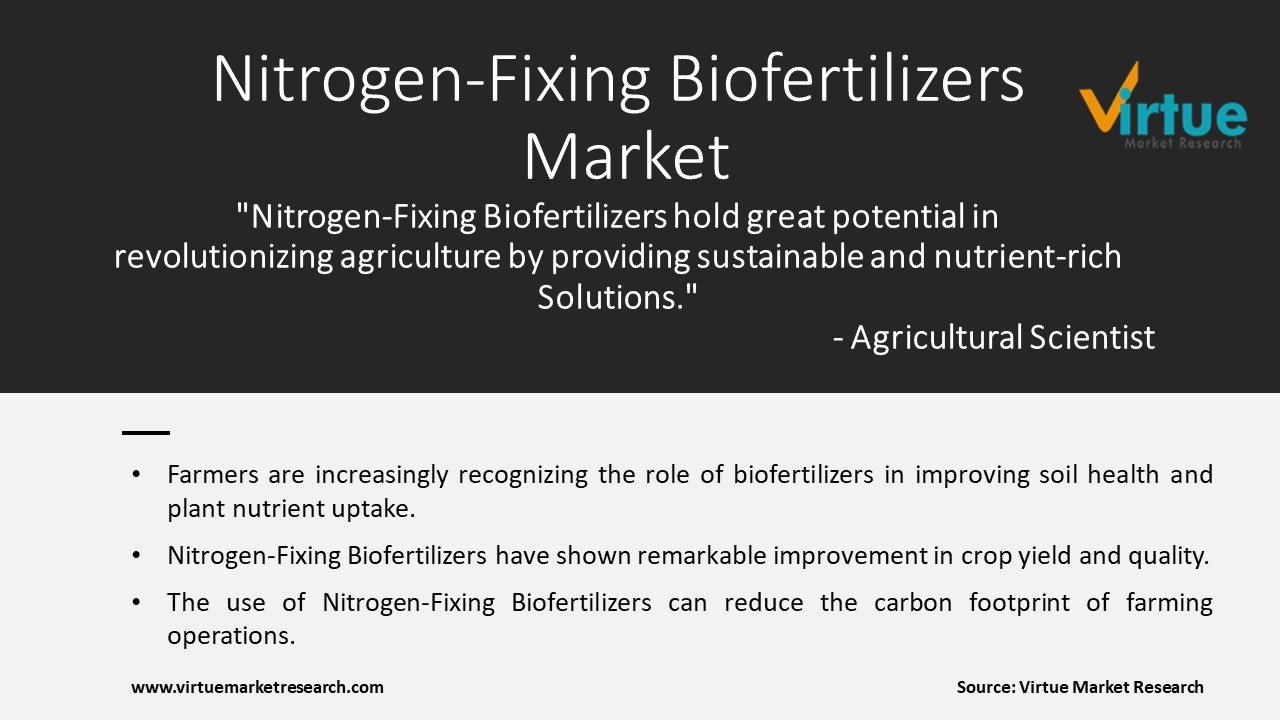 Nitrogen-Fixing Biofertilizers Market