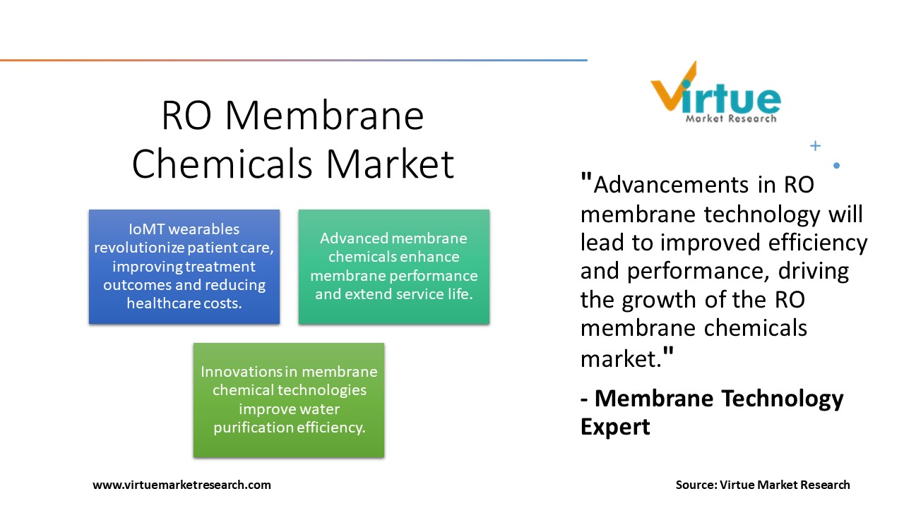  RO Membrane Chemicals Market